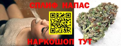 PSILOCYBIN Бугуруслан