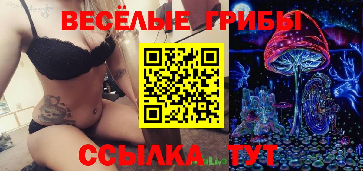 Галлюциногенные грибы Psilocybe Сегежа
